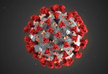 Coronavirus, fonte google contrassegnate per essere riutilizzate